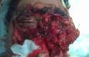 bear-easts-face-off-man-who-lives-13.jpg