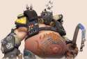 roadhog.png