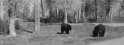 f3865001-89b2-4f2c-86eb-8b3874ff72fe.gif