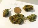 weed2.jpg