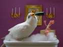 bath and booze.jpg