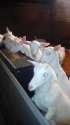 IMG-20150808-WA0001.jpg