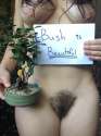bush10.jpg