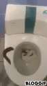 toilet0.gif