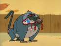 baboon2.jpg