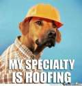 roofing_o_792199.jpg