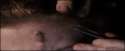 cc44fce49a8fd0be0be8bdd6378ec2f4.gif