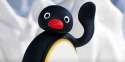 tumblr_static_1334318729189_pingu_tms_h_2x1_overlay_590_295.jpg