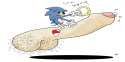 sanic.png