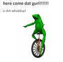 dat boi.jpg