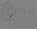 IMG_7412.gif