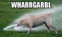 wharrgarbl.jpg