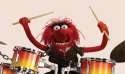 Animal on Drums.png
