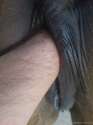 DSC00020.jpg