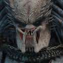 avp-elder-predator-sixth-scale-hot-toys-thumb-902567.jpg