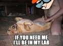 Dexter's-Lab.jpg