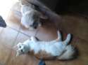 20140428_140838.jpg