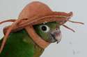 Anon+are+you+samefag+ugoboom+who+time+travelled+to+tell+_76b49b43636d800dc083972eb742fbee.jpg