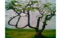 name-of-allah-in-nature-t2.jpg