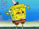 203049-spongebob-square-pants-spongebob.jpg