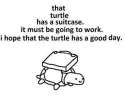 turtle.jpg