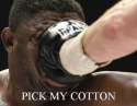cotton.jpg