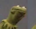 Kermit.jpg