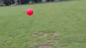 1381369088936.gif