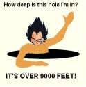 1254075430272.gif
