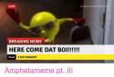 Facebook-Amphetameme-pt-III-ebfd0c.png