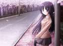 Ruri390.jpg