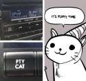 pty.jpg