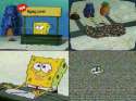 9gag.jpg