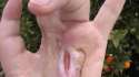 ezgif-2207380831.gif