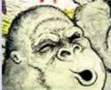 monkey.jpg