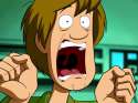 shaggy-scream.jpg