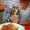weasel_eating_calzone.jpg