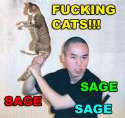 CANCEL_CATERDAY.jpg