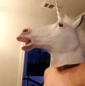horse-brush-teeth.gif