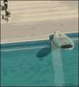 1351820133376.gif