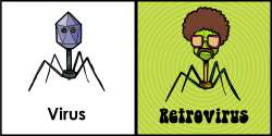 Retrovirus.jpg
