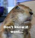 not sure if want.jpg