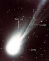 torah and science - halleycomet.jpg
