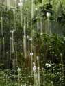 torah and science-rain.jpg