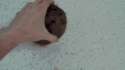 1392021965012.gif