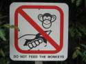 dont-feed-the-monkeys.jpg