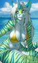 1451402197.strype_teyd.png
