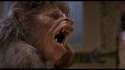 An-American-Werewolf-in-London-Wolf0.jpg