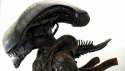 alien_big.jpg