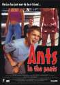 ants.jpg